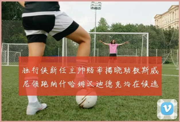独行侠新任主帅赔率揭晓助教斯威尼领跑纳什哈姆汉迪德克均在候选之中